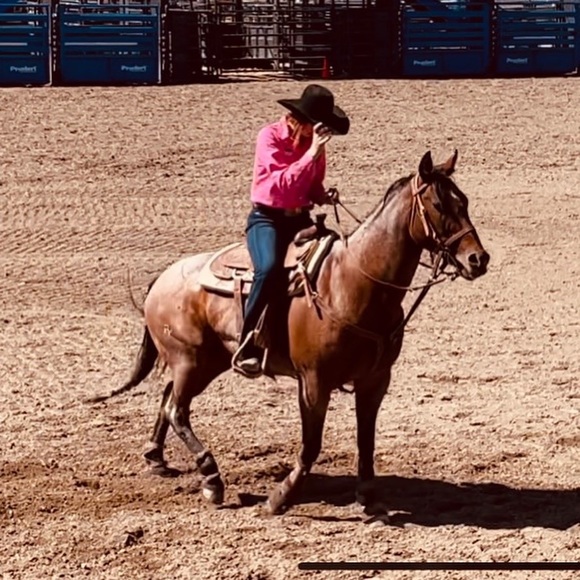 Meet your Posher, Raelee - Picture 1 of 1